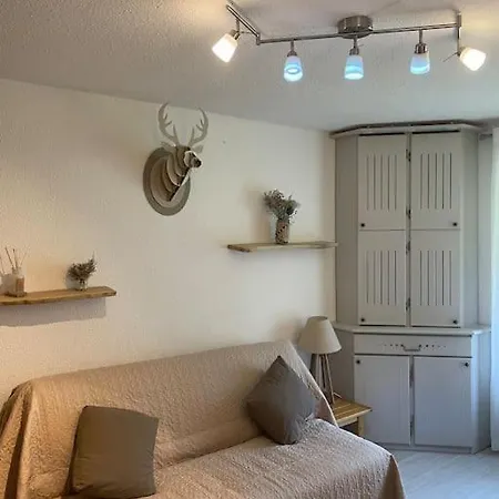 Апартаменты Chez Olivier Et Valerie Лез-Англь